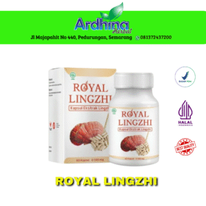 Jual Jamur Lingzhi Semarang - Toko Ardhina Herbal Semarang