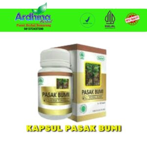 Jual Kapsul Pasak Bumi Semarang - Toko Ardhina Herbal Jalan Majapahit No. 440, Pedurungan, Semarang