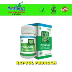 jual kapsul pegagan semarang - ardhina semarang