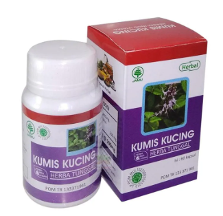 jual kumis kucing semarang